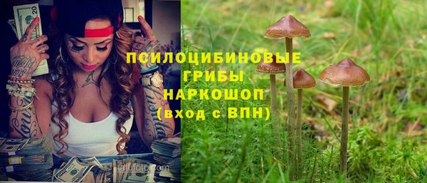 кристаллы Мегион