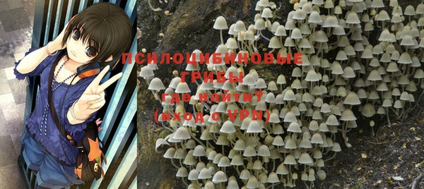 метадон Медвежьегорск