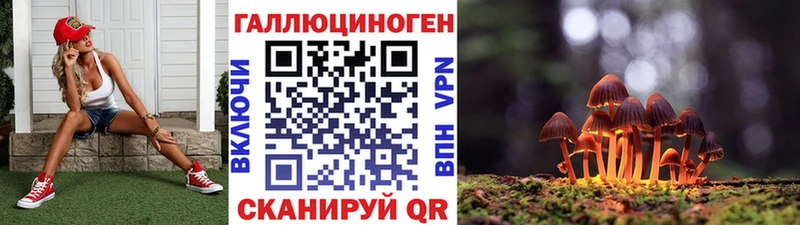 Галлюциногенные грибы GOLDEN TEACHER Барнаул