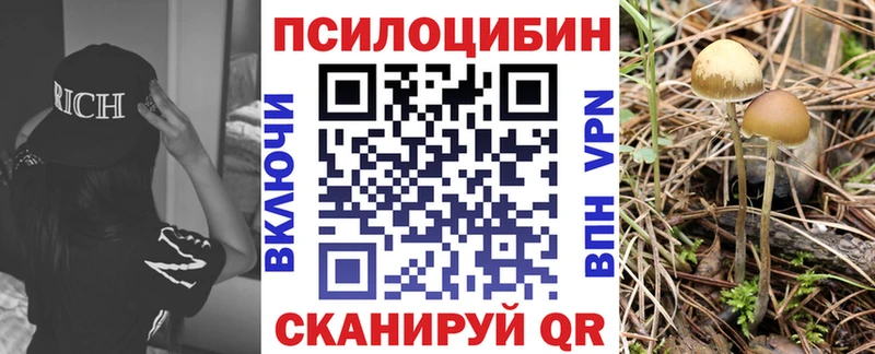 Купить закладки  Барнаул  Галлюциногенные грибы Cubensis 
